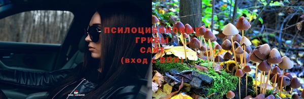 СК Абинск