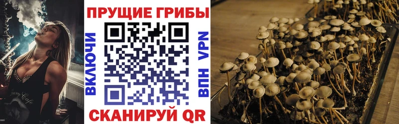 OMG ссылки  Яблоновский  Галлюциногенные грибы MAGIC MUSHROOMS  как найти закладки 